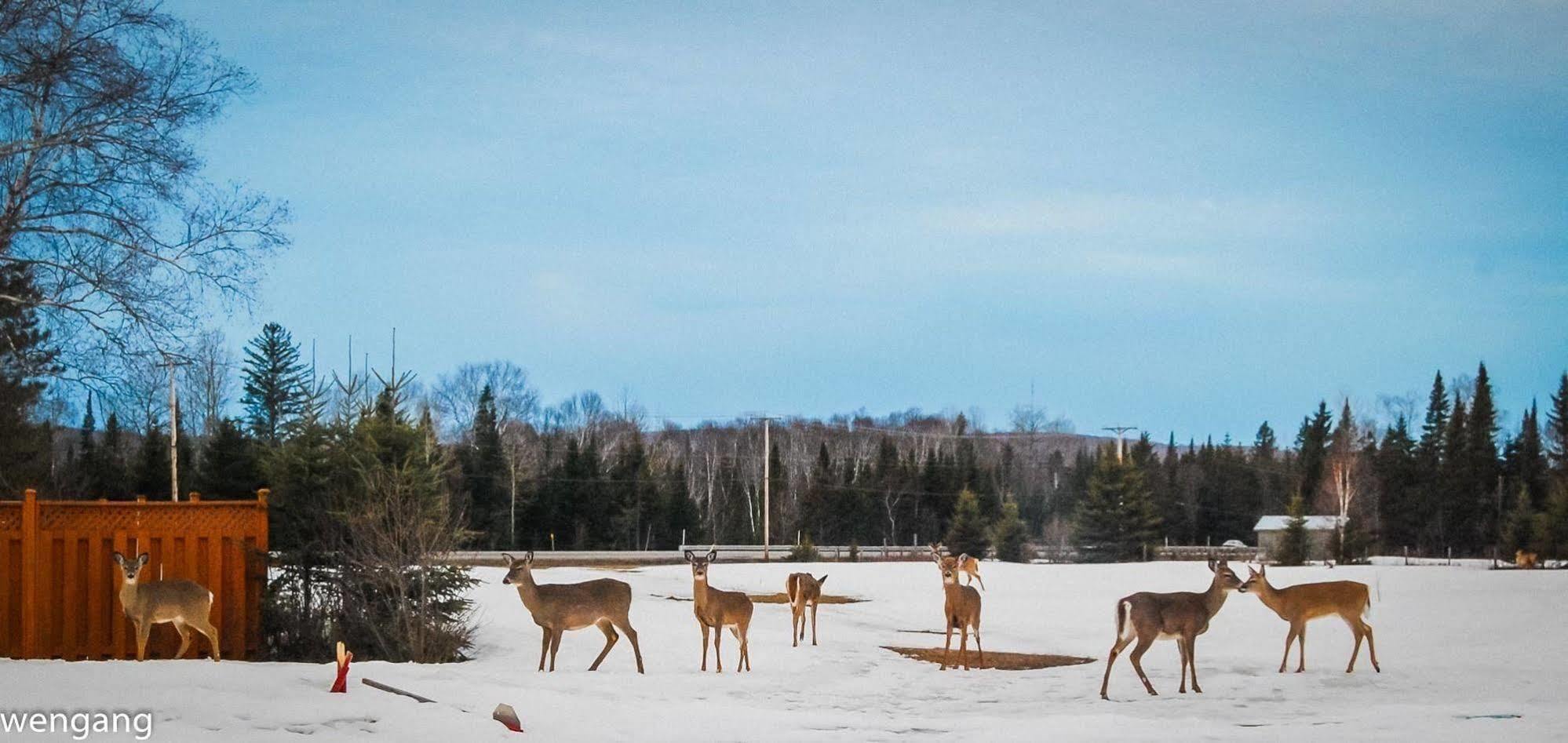 Auberge Godard Nominingue ภายนอก รูปภาพ